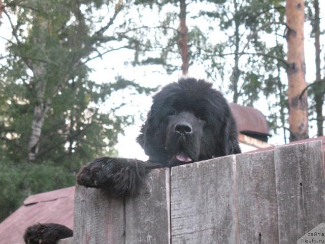 Фотография № 6062