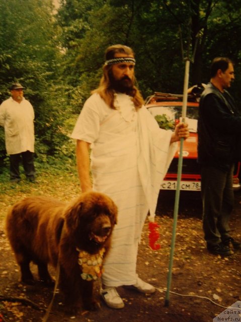 Фотография № 60627