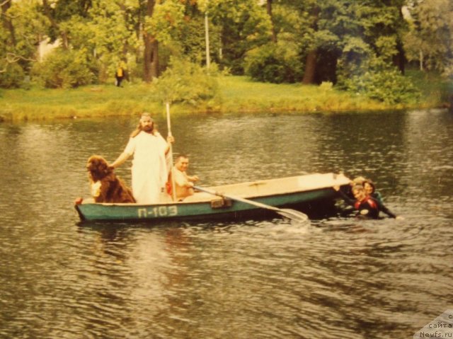 Фото: ньюфаундленд Смигар Афанасий (Smigar Afanasiy), Александр Жаков, Александр Беспечный, Екатерина Кормакова, Наталия Михайлова