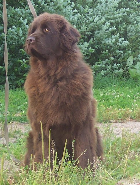 Фотография № 60650