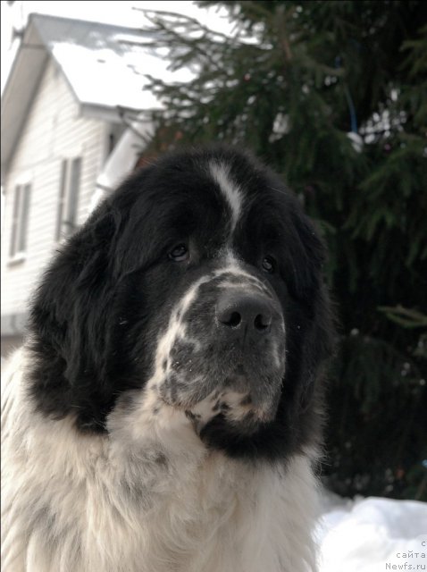 Фотография № 60676