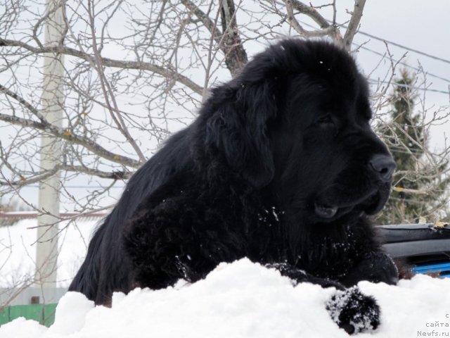 Фотография № 60691