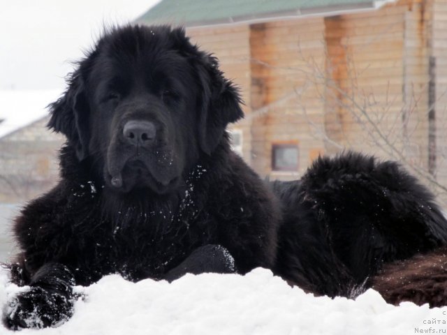 Фотография № 60692