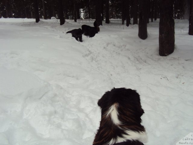 Фотография № 60705