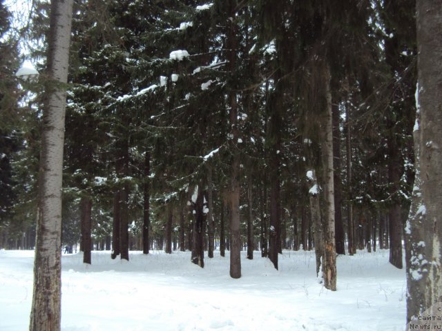 Фотография № 60706