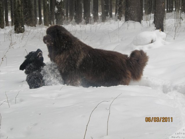 Фотография № 60712