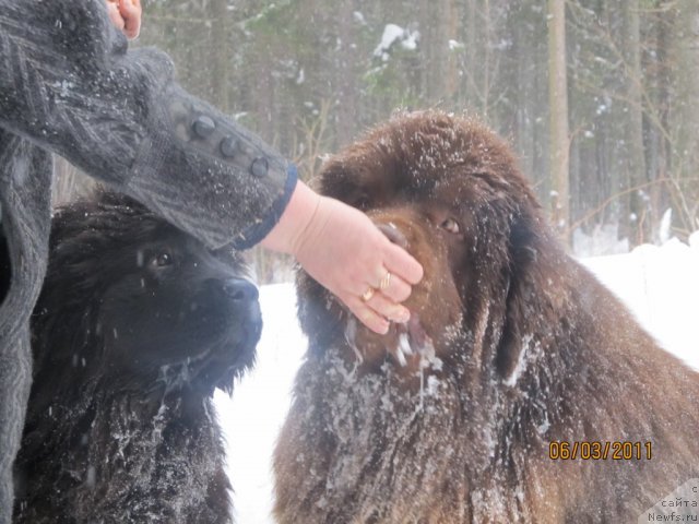 Фотография № 60714