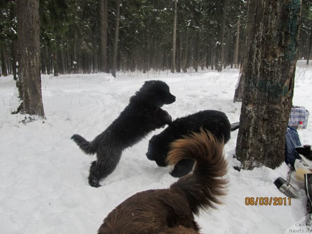 Фотография № 60715