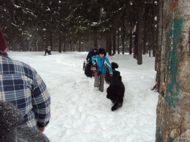 Фотография № 60716