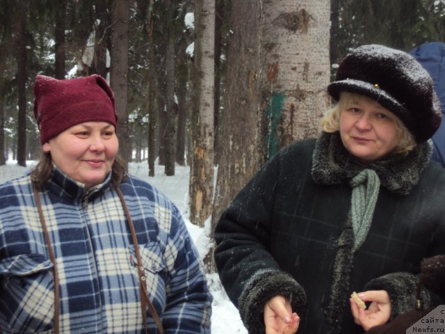 Фотография № 60718