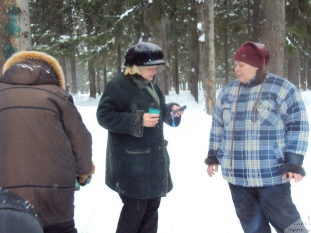 Фотография № 60720