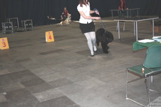 Фотография № 60789