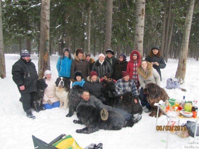 Фото: Александр Филатов, Ирина Габова, Ирина Нистратова, ньюфаундленд Их Высочество Владлена Маджикс, ньюфаундленд Командор из Медвежьего Яра, ньюфаундленд Акватория Келвин Олимпус (Aquatoriya Kelvin Olympus), Светлана Плотникова, Эльвира Сумина, Екатерина Плотникова