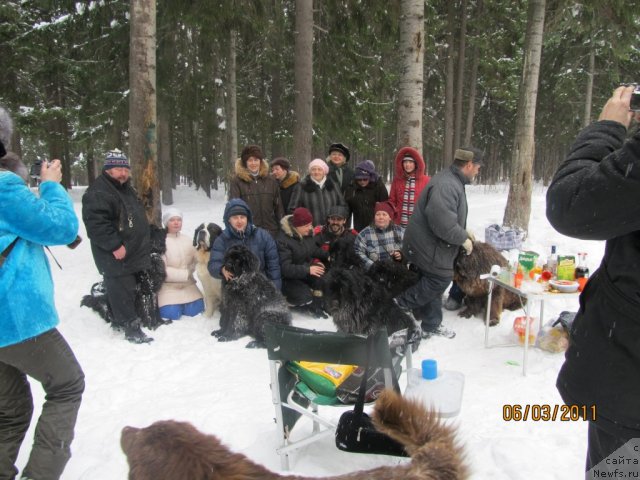 Фото: Александр Филатов, Ирина Габова, Алексей Нистратов, ньюфаундленд Их Высочество Владлена Маджикс, ньюфаундленд Командор из Медвежьего Яра, ньюфаундленд Акватория Келвин Олимпус (Aquatoriya Kelvin Olympus), Светлана Плотникова, Эльвира Сумина