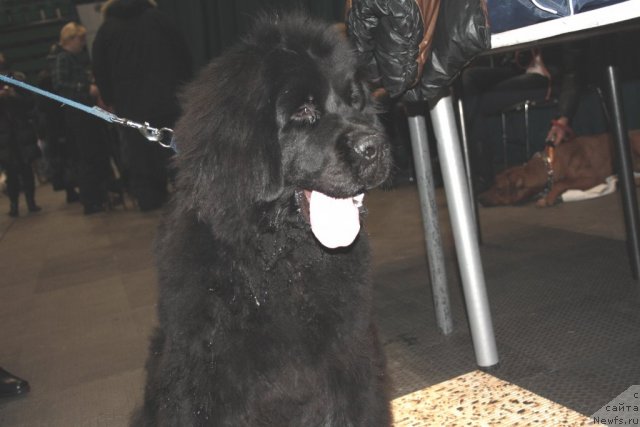 Фотография № 60798