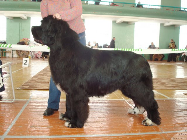 Фотография № 60800