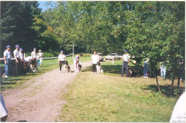 Фотография № 60816