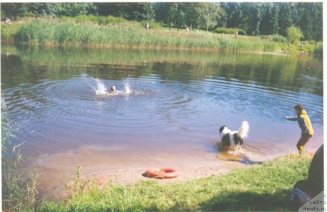 Фотография № 60818