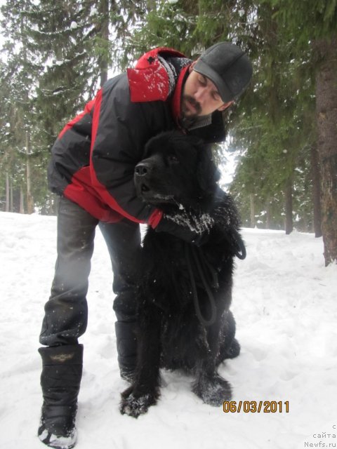 Фото: Денис Щеглов