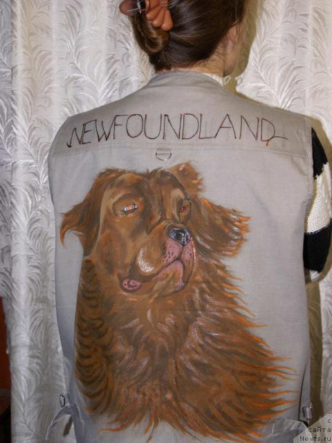 Фото: ньюфаундленд Лесная Сказка Изольда