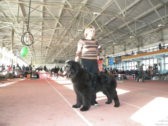 Фотография № 60839