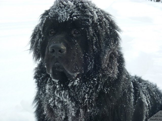 Фотография № 60843