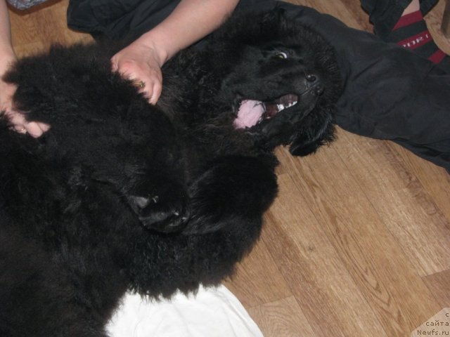 Фотография № 60860