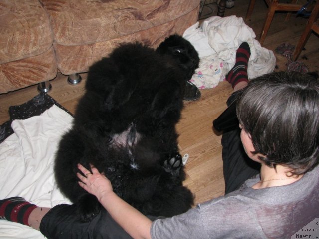 Фотография № 60861