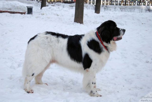 Фотография № 60881