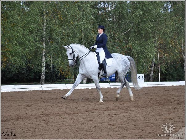 Фотография № 60893