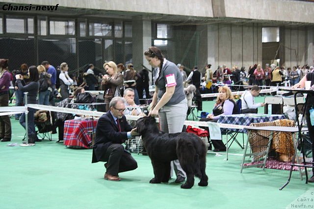 Фотография № 60911