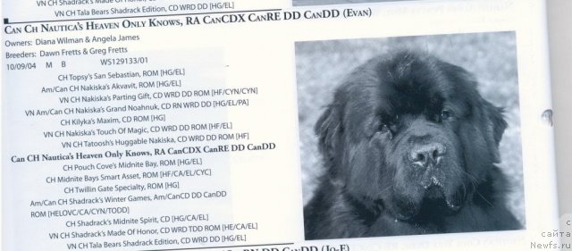 Фотография № 60922