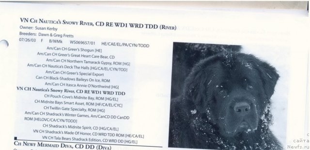 Фотография № 60924