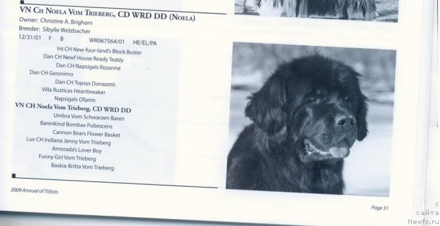 Фотография № 60925