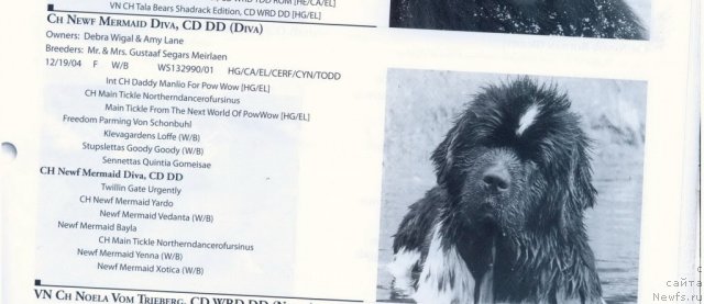 Фотография № 60926