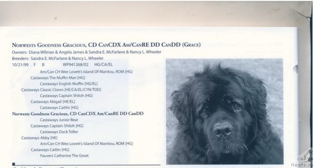 Фотография № 60927