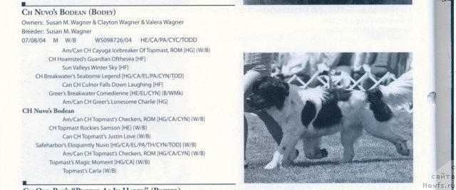 Фотография № 60928