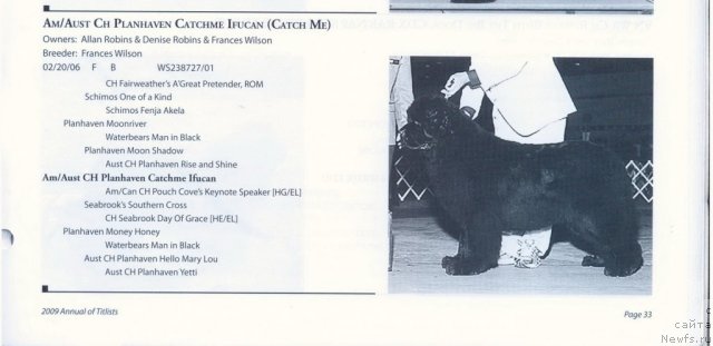 Фотография № 60929