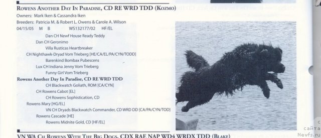 Фотография № 60931