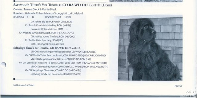 Фотография № 60934