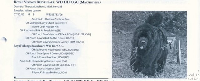 Фотография № 60935