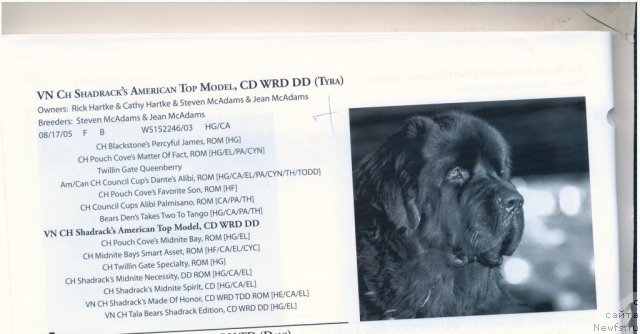 Фотография № 60936