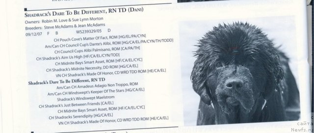 Фотография № 60937