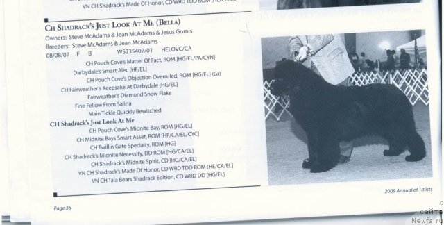 Фотография № 60938