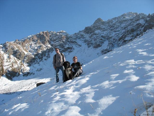 Фото: ньюфаундленд Маг Исполин Елана (Mag Ispolin Elana)