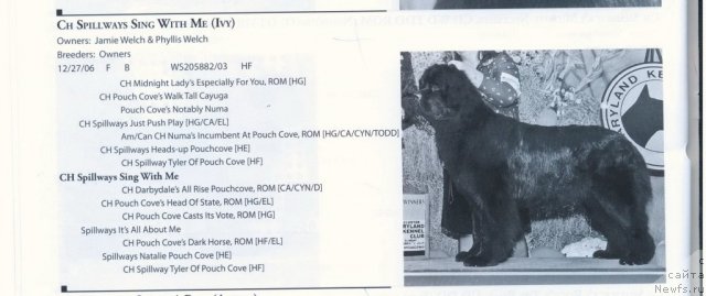 Фотография № 60943