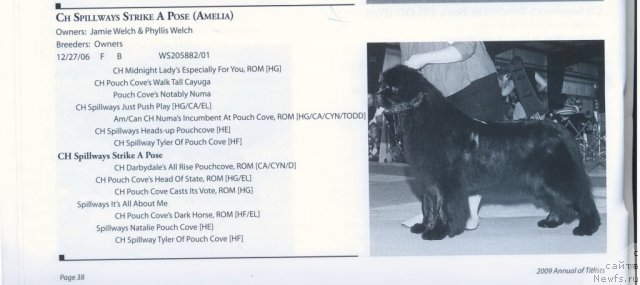 Фотография № 60944