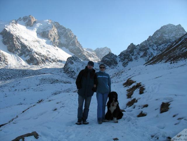 Фото: ньюфаундленд Маг Исполин Елана (Mag Ispolin Elana), Елена Зайцева (Замятина)