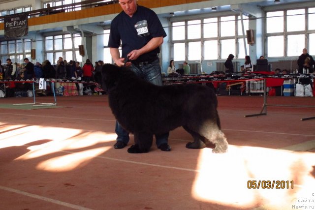 Фотография № 60970