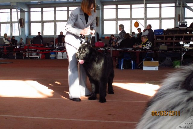 Фотография № 60972